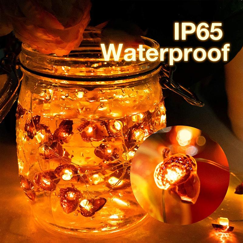 LED Acorn String Lights