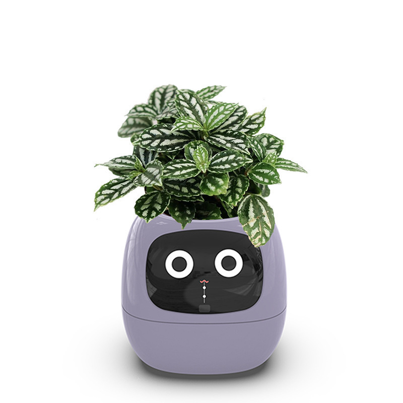 Sakerplus Smart Flowerpots