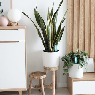 SAKER Smart Plant Monitor Meter