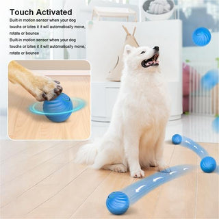 Sakerplus® Electric Rolling Pet Toy Ball