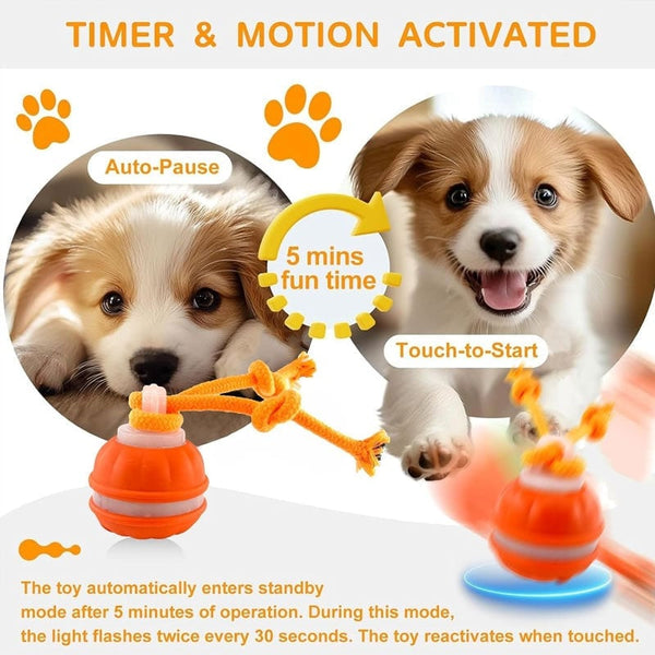 Sakerplus® Interactive Smart Rolling Pet Ball