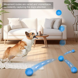 Sakerplus® Electric Rolling Pet Toy Ball