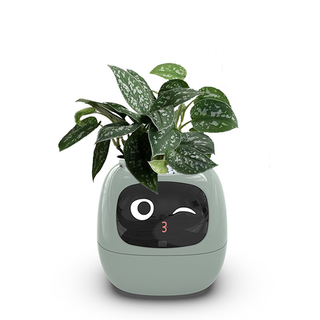 Sakerplus Smart Flowerpots