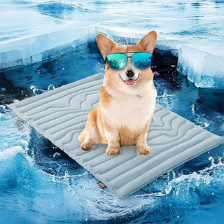Sakerplus Reversible Cooling Mat for Pets