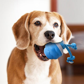 Sakerplus® Interactive Smart Rolling Pet Ball