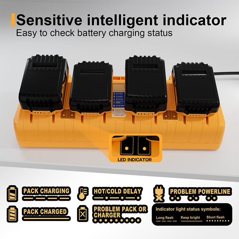 Sakerplus Multi-Port 12V-20V Battery Charger