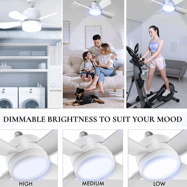 Sakerplus® Ceiling Fan Light With Remote Control