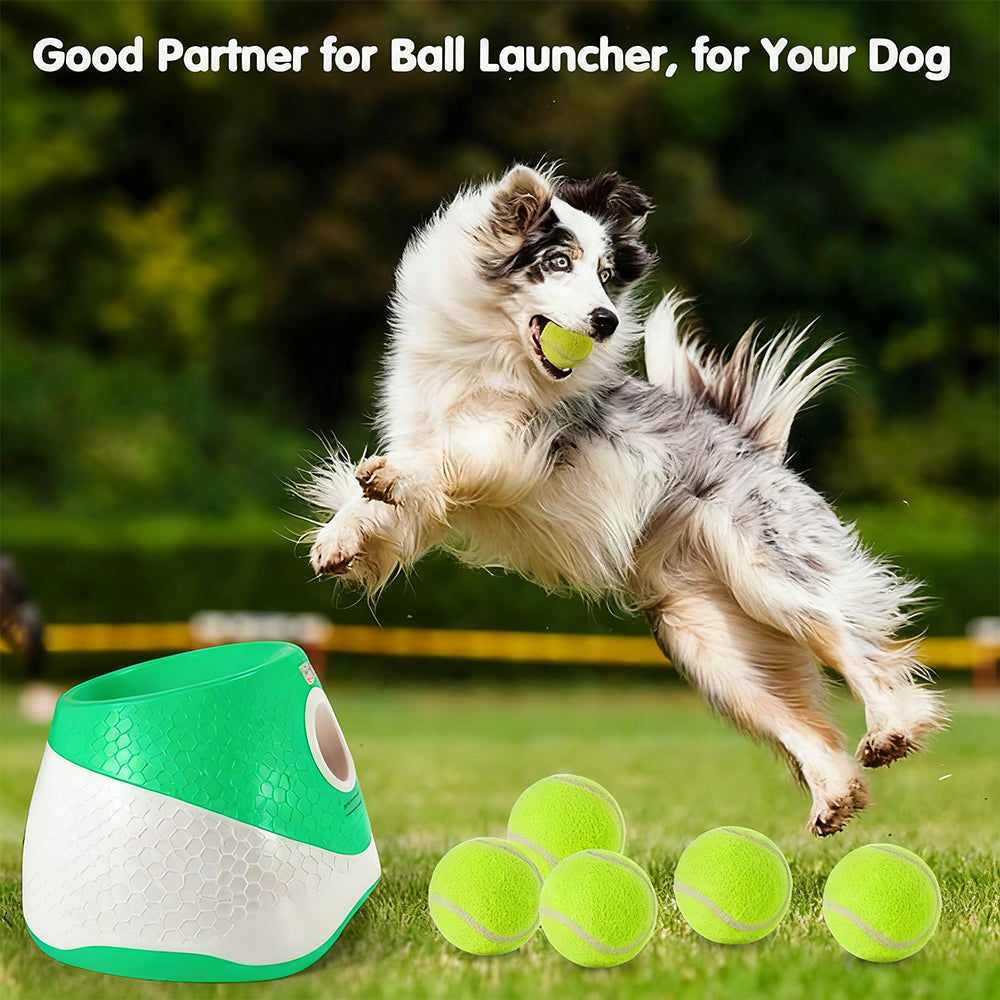 Sakerplus® Automatic Dog Ball Launcher Toy