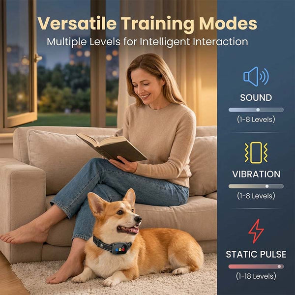Sakerplus® 800m Remote Dog Training Collar With Display