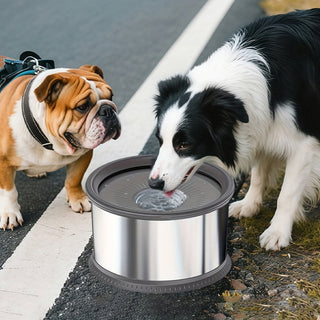 Sakerplus Large Capacity No Spill Dog Bowl