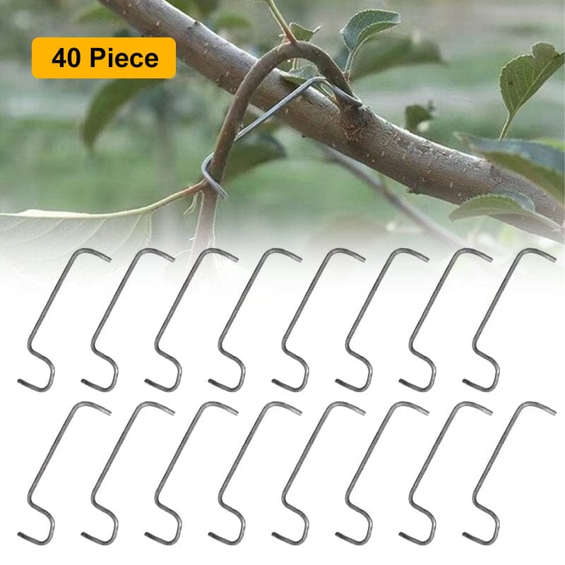 SAKER® 40Pcs Fruit Tree Branch Limb Spreader
