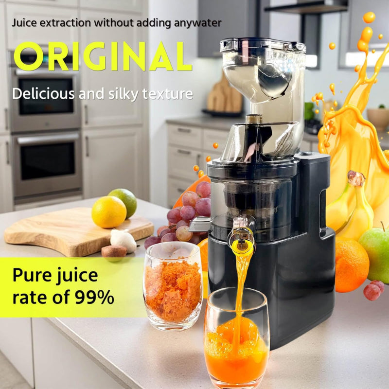 Sakerplus Slow Masticating Cold Press Juicer