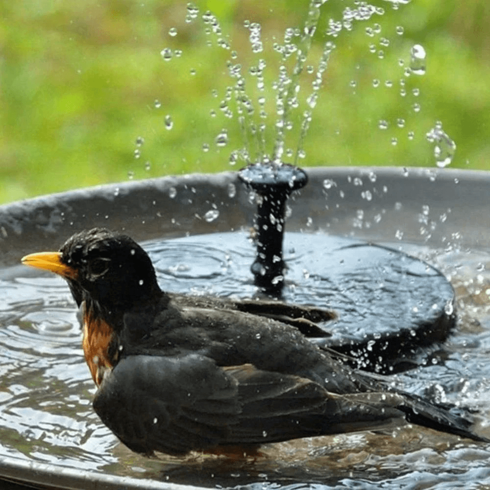 SAKER® Solar Powered Water Fountain