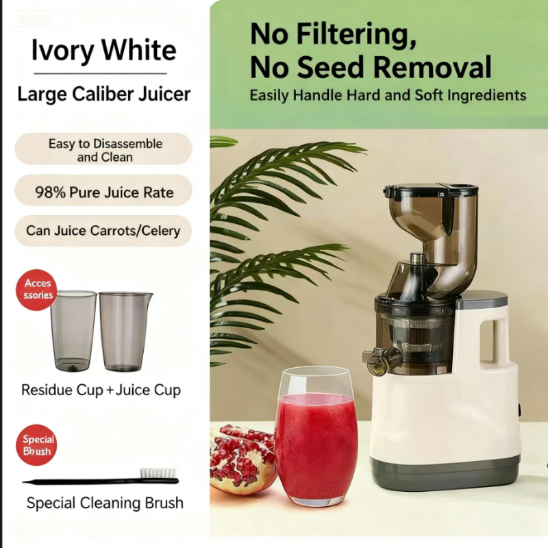 Sakerplus Slow Masticating Cold Press Juicer