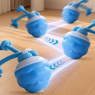 Sakerplus® Interactive Smart Rolling Pet Ball