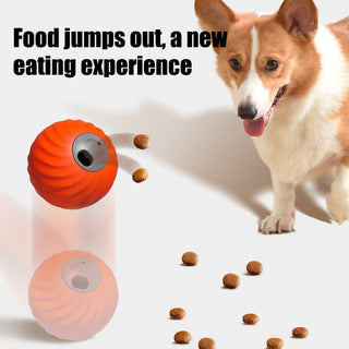 Sakerplus Electric Pet Food Leaking Ball
