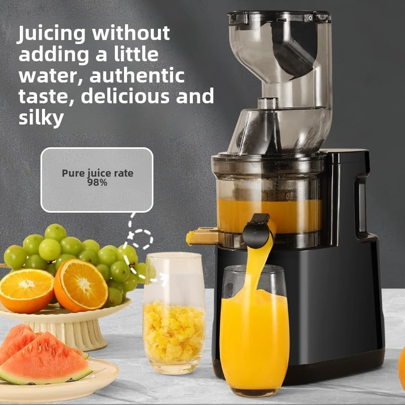 Sakerplus Slow Masticating Cold Press Juicer