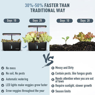 Sakerplus Hydroponics Growing System