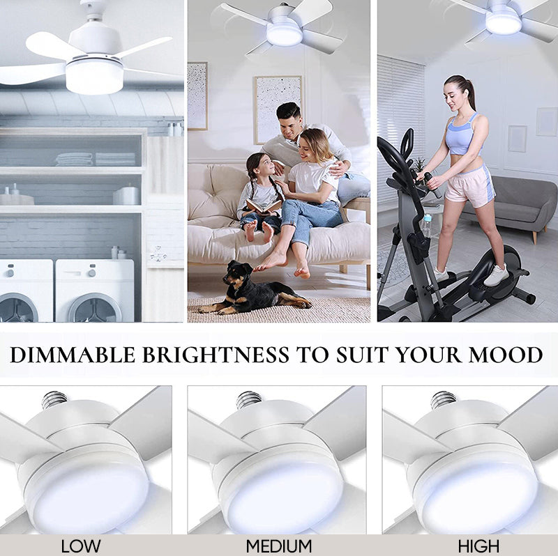 Sakerplus Ceiling Fan Light With Remote Control