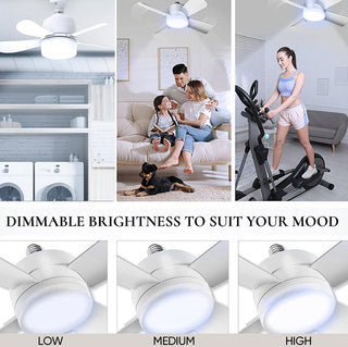 Sakerplus Ceiling Fan Light With Remote Control