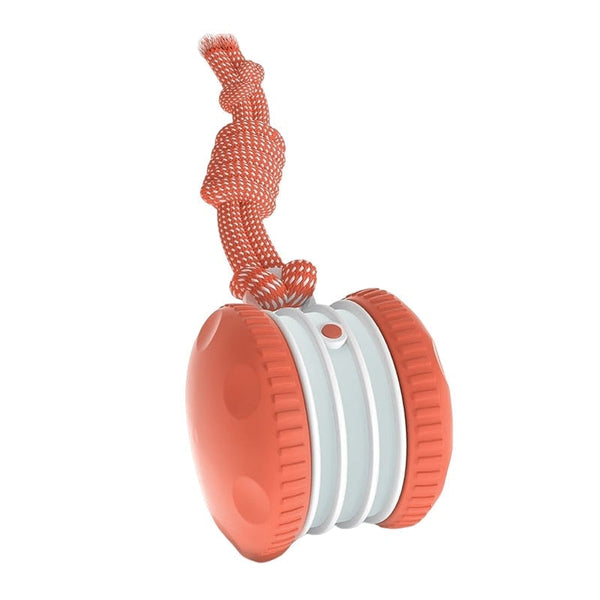 Sakerplus® Interactive Dog Toys