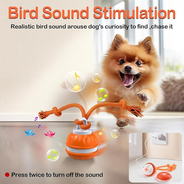 Sakerplus® Interactive Smart Rolling Pet Ball