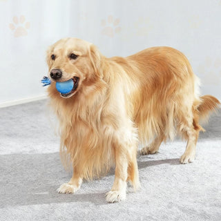 Sakerplus® Interactive Dog Toys