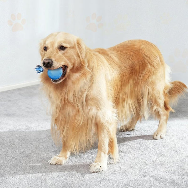 Sakerplus® Interactive Dog Toys