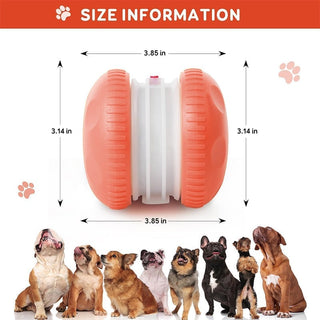 Sakerplus® Interactive Dog Toys