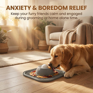 Sakerplus® Interactive Slow Feeder Lick Bowl