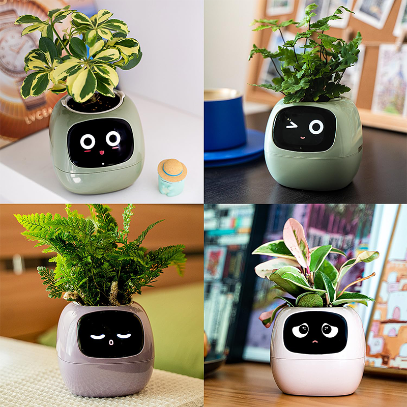 Sakerplus Smart Flowerpots