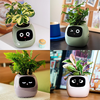 Sakerplus Smart Flowerpots