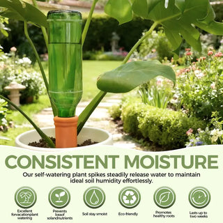 Sakerplus® Self-Watering Terracotta Plant Spikes Pack