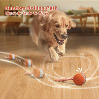Sakerplus® Interactive Automatic Dog Toy Ball