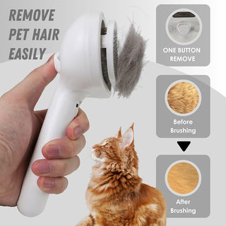 Sakerplus Spray Pet Brush