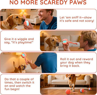 Sakerplus® Interactive Dog Toys