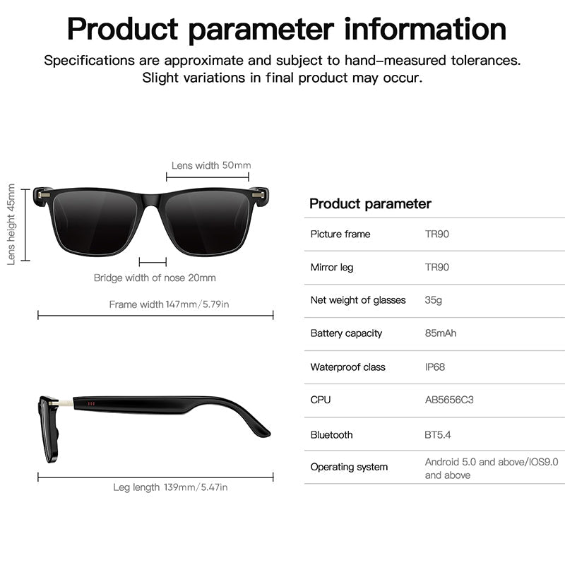 Sakerplus® AI Smart Translation Glasses