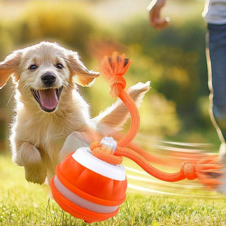 Sakerplus® Interactive Smart Rolling Pet Ball