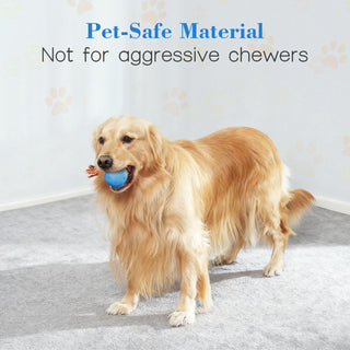 Sakerplus® Interactive Automatic Dog Toy Ball