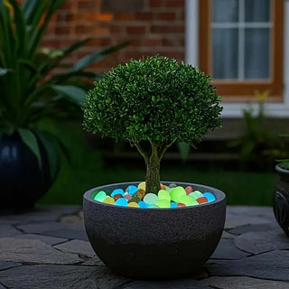 Sakerplus®  Glowing Pebbles For Garden Paths