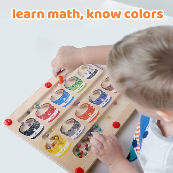Sank Magnetic Color and Number Maze