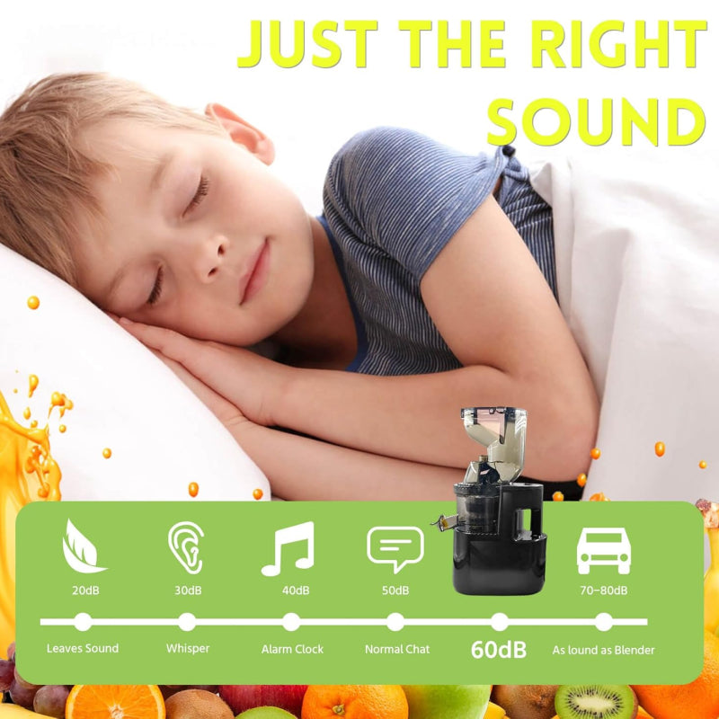 Sakerplus Slow Masticating Cold Press Juicer