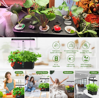 Sakerplus Hydroponics Growing System