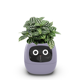 Sakerplus Smart Flowerpots