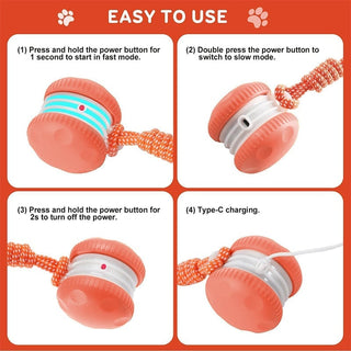 Sakerplus® Interactive Dog Toys