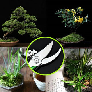 Saker Multifunctional Folding Pruning Grafting Shears