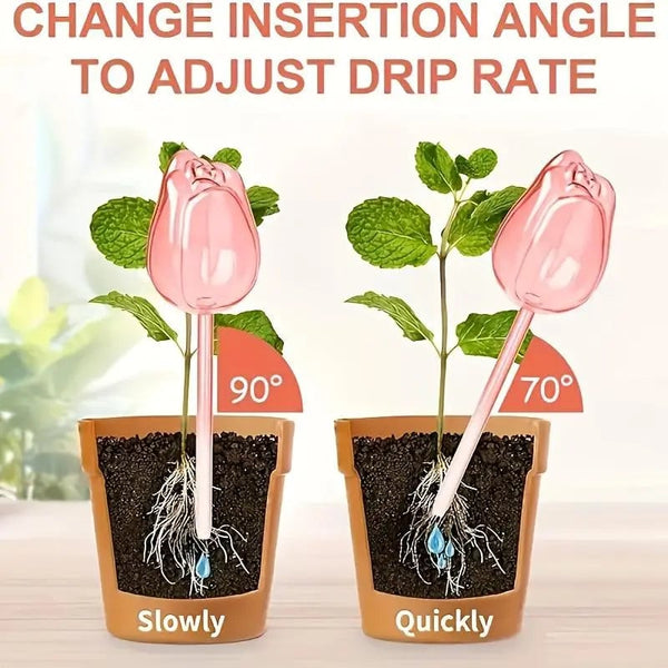 Sakerplus® Self Watering Globes For Plants