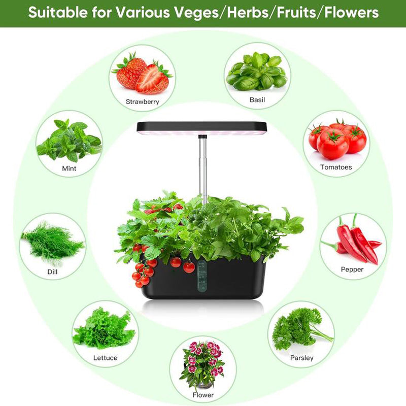 Sakerplus Hydroponics Growing System