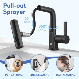 Sakerplus® Bathroom Faucet With Real-time Temperature Display