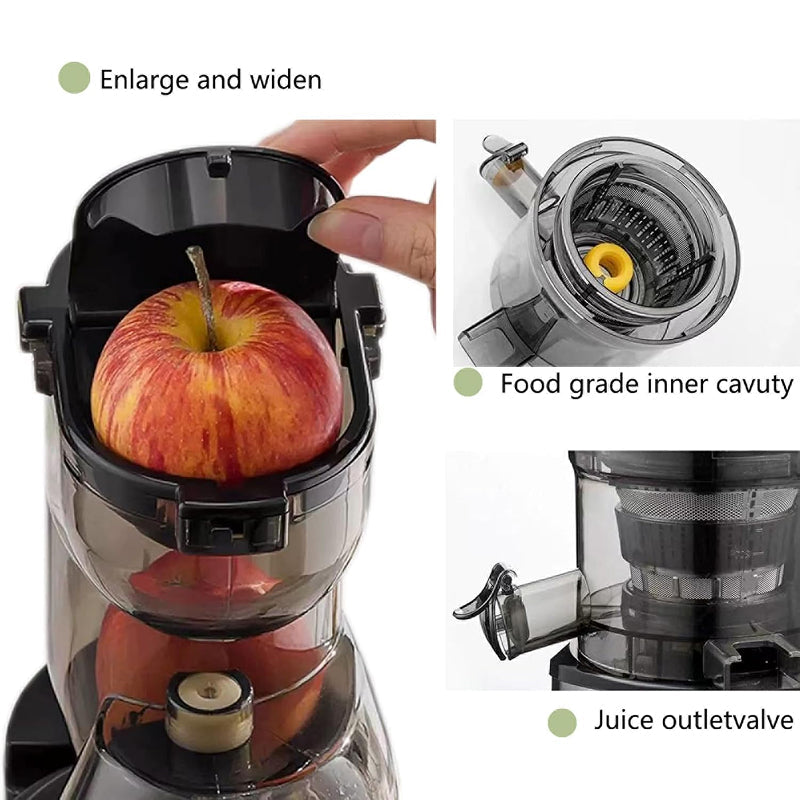 Sakerplus Slow Masticating Cold Press Juicer